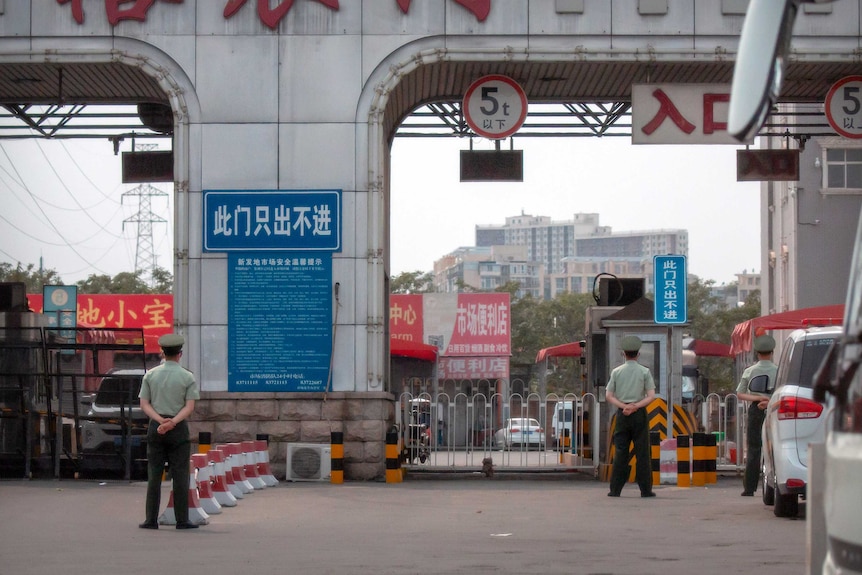 Xinfadi market in Beijing