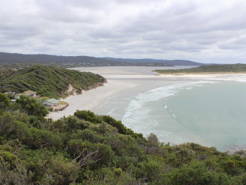 A view over a calm inlet, looking towards a town amongst green forest