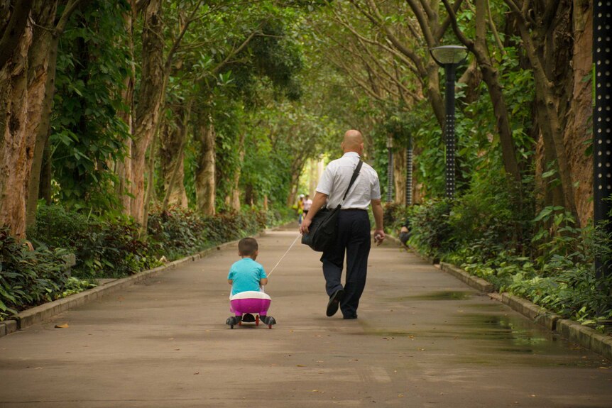 A man walks down a path in a city garden, pulling a toddler on a wheeled toy behind him.