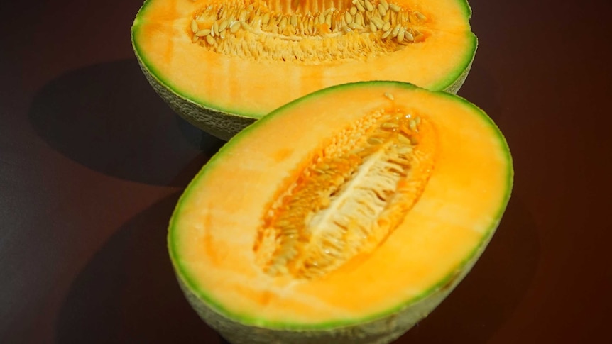 Australia plans to import melons from South Korea