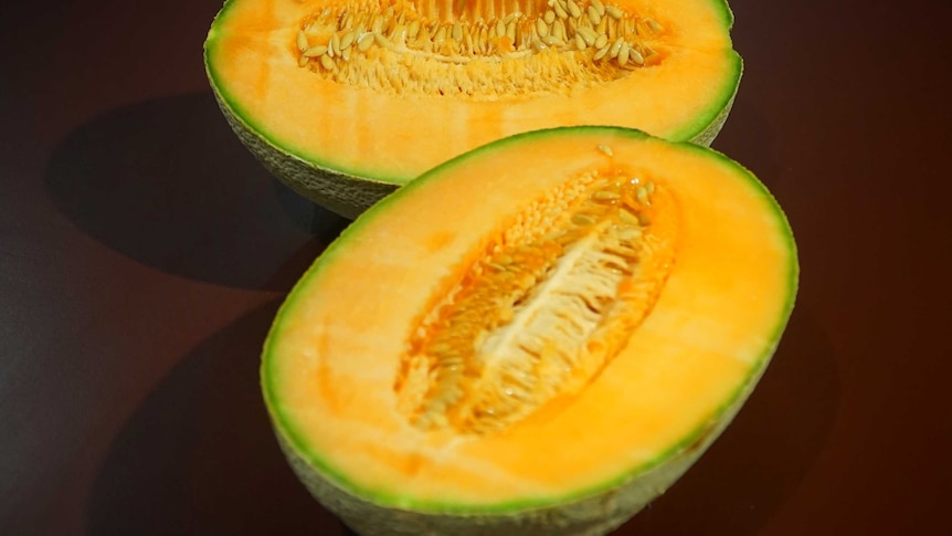 A rockmelon cut in half.