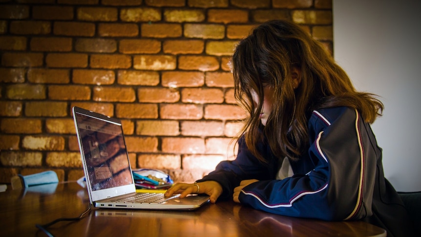 A school student shrouded in shadow, using a laptop at a home table.