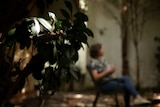 Leaves in the foreground with a woman sitting out of focus in the background.