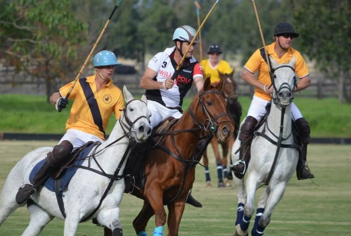 Polo competition, featuring riders and horses from Willo Polo.