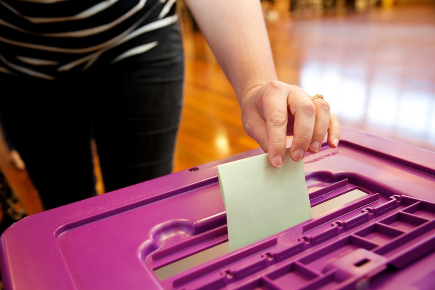 A close-up shot of a voter's hand dropping a ballot paper into a purple ballot box at a polling booth.