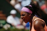 Serena Williams screams