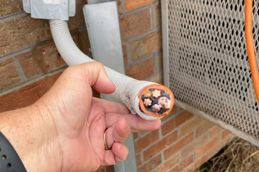 a photo of a copper cable that has been cut 