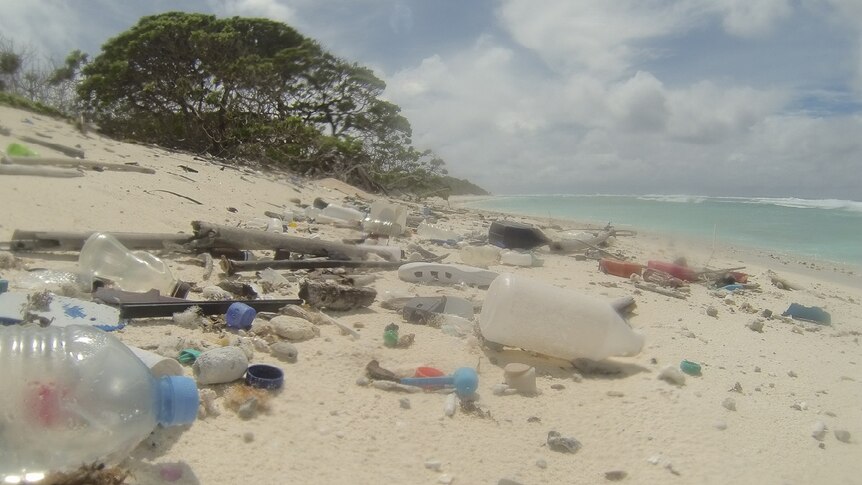 There are bottles, thongs and other plastic items scattered all across an otherwise pristine beach.