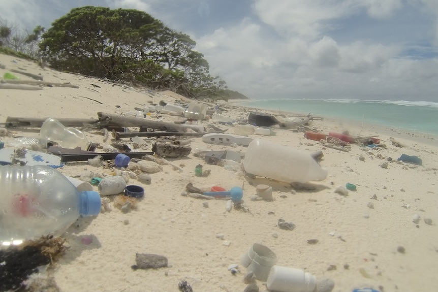 There are bottles, thongs and other plastic items scattered all across an otherwise pristine beach.
