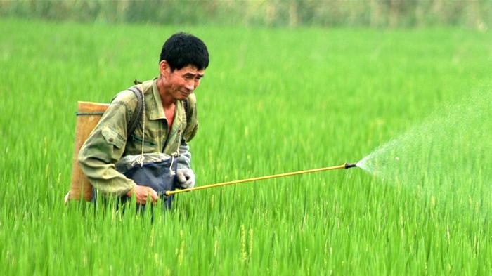 A farmer sprays pesticide in a field