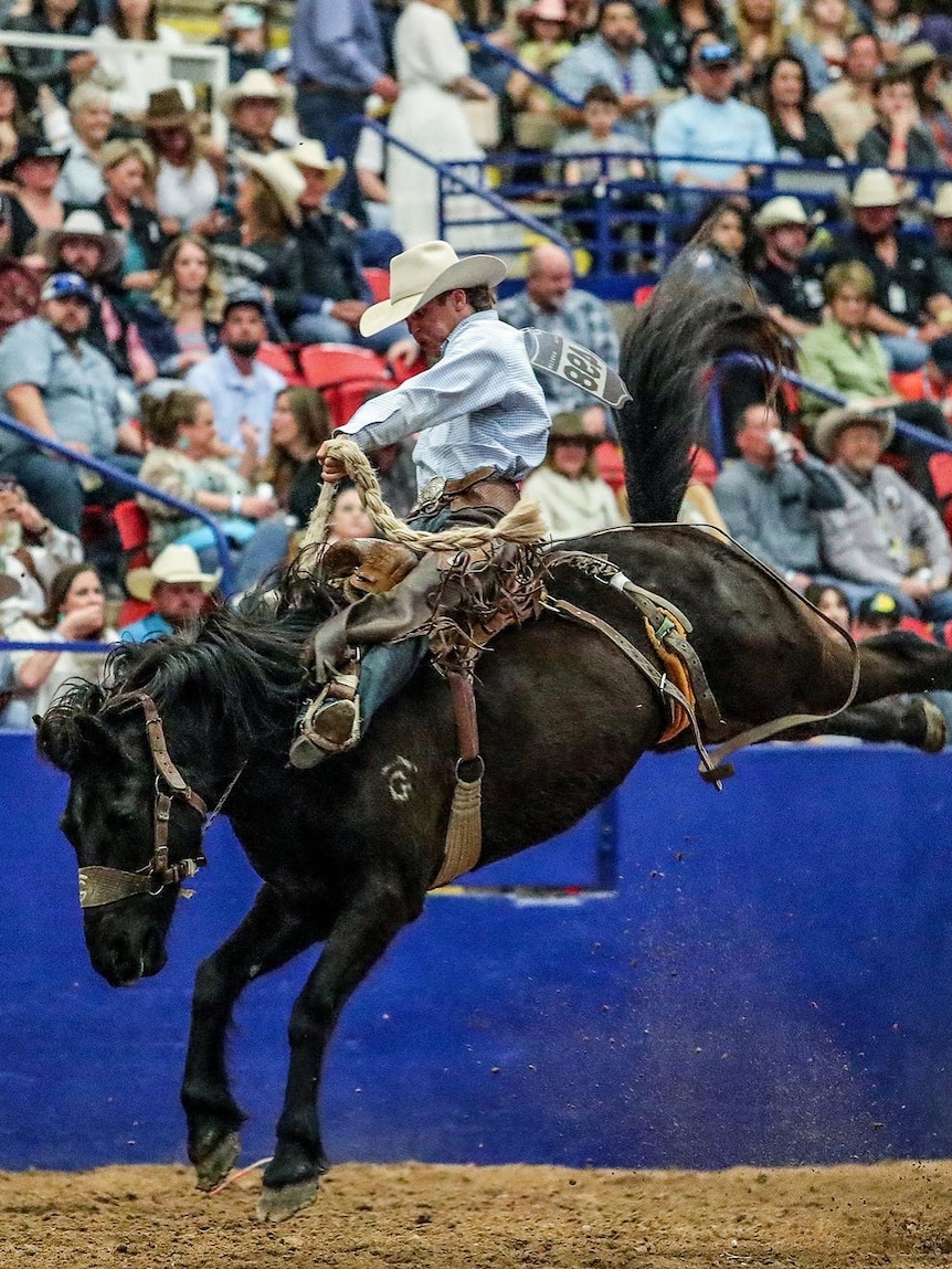 a man in a large cowboy hat rides a bucking horse in front of a packed stadium.