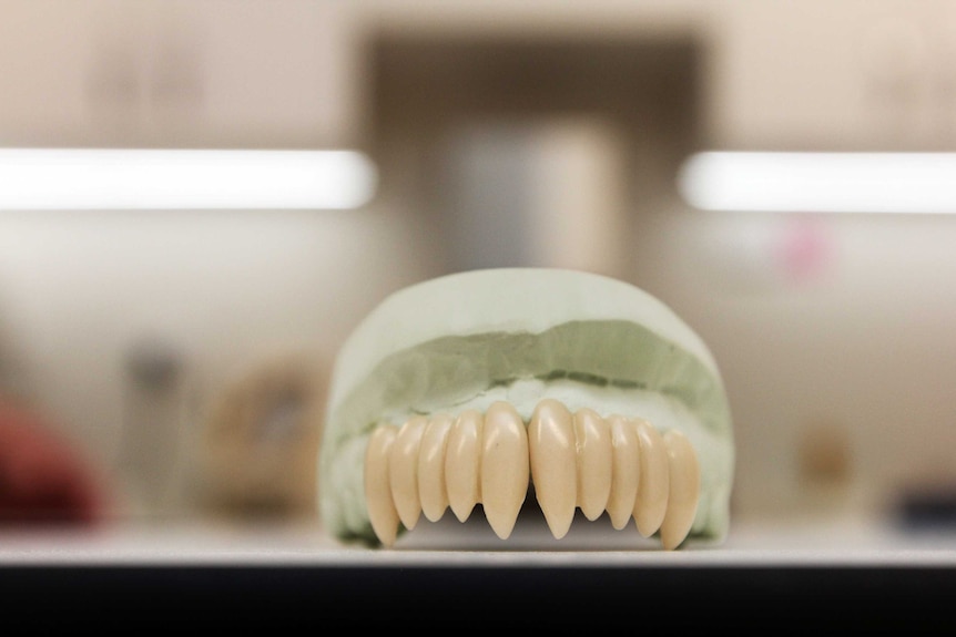 vampire teeth creation