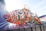 A large ornamental fish made from colourful recycled materials such as wire, fishing ropes and CDs sits on a shed roof.