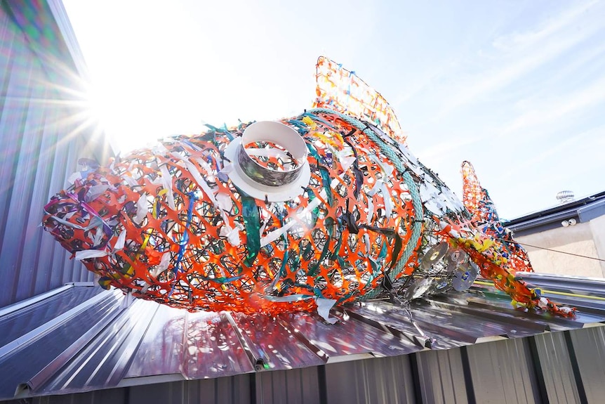 A large ornamental fish made from colourful recycled materials such as wire, fishing ropes and CDs sits on a shed roof.