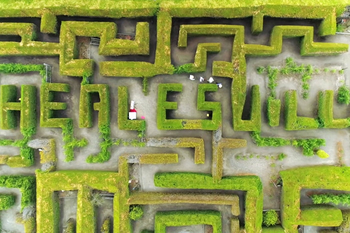 Aerial shot of maze at Healesville