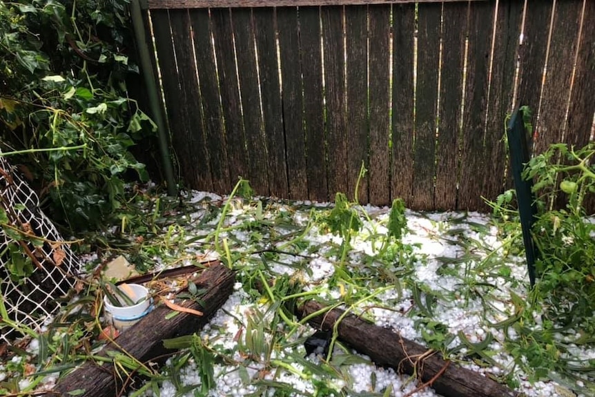 Hailstones cover the ground in a backyard garden, with lots of tree and plant debris scattered about