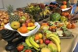 Fresh fruit and vegetables collected for distribution by Foodbank SA