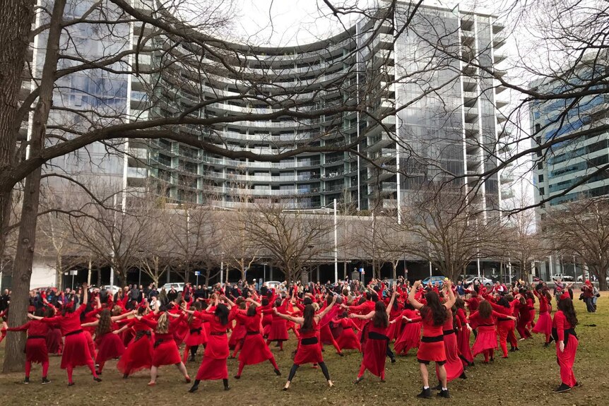 Hundreds of people dressed in red dance amongst the trees in Glebe Park.
