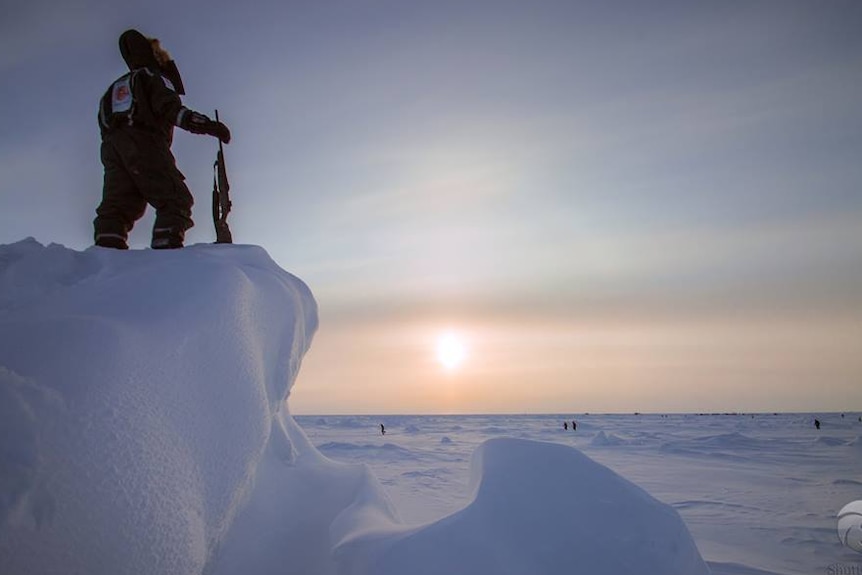 North Pole Marathon polar bear sharp shooters