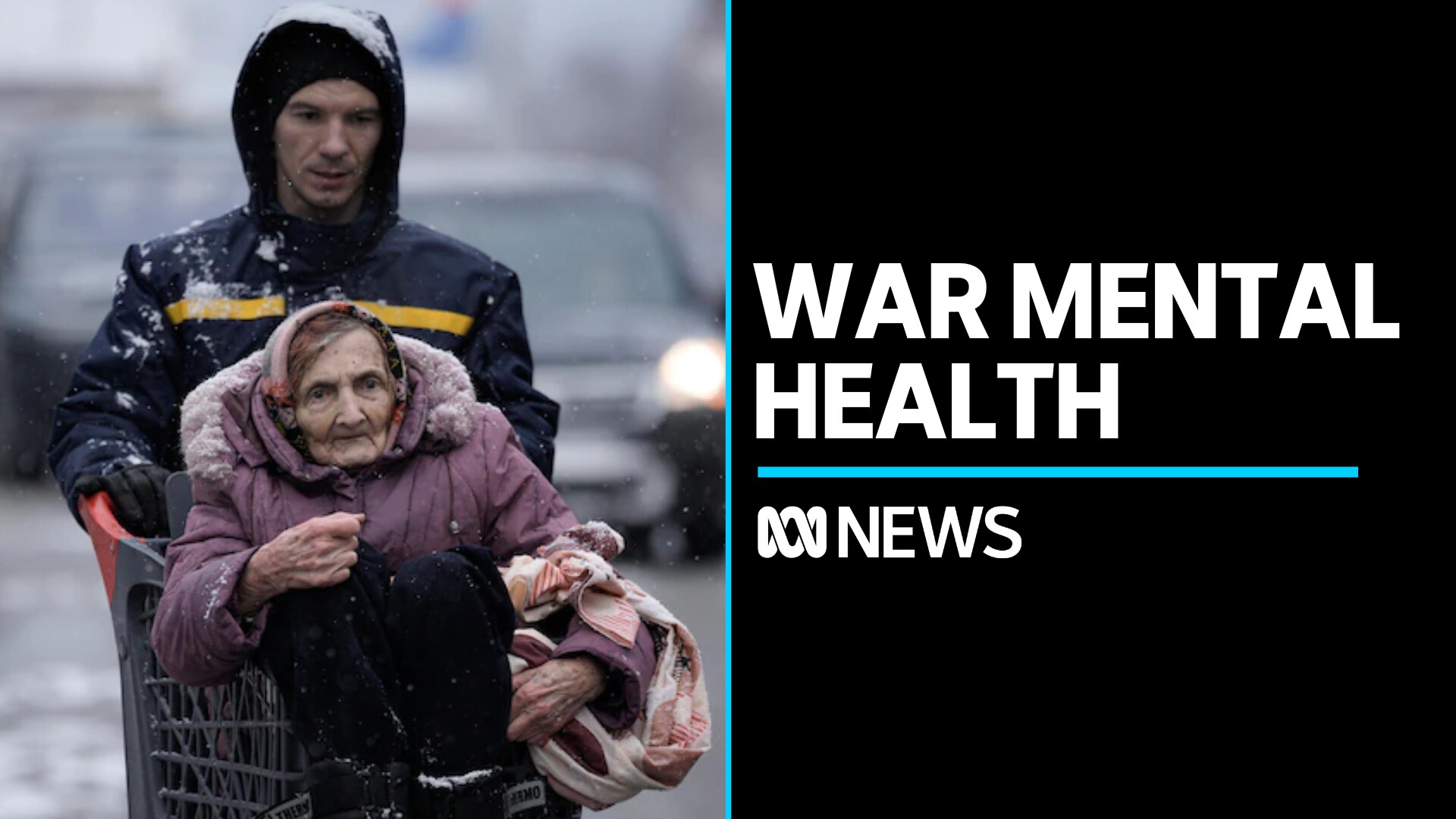 Ukrainian mental health doctors visit New South Wales - ABC News