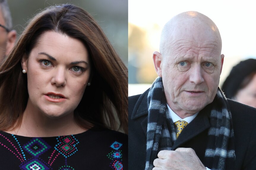 Sarah Hanson-Young on the left, with her hair billowing in the wind. David Leyonhjelm on the right, clutching his scarf.