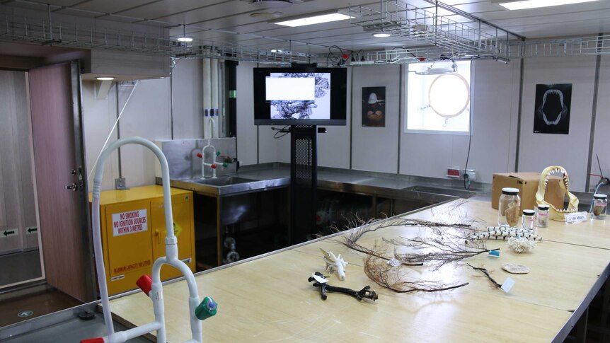 One of several laboratories on the Investigator