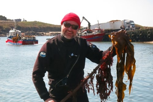 A middle-aged man wearing dark clothing, sunglasses and a bright red beanie holds a strand of kelp aloft