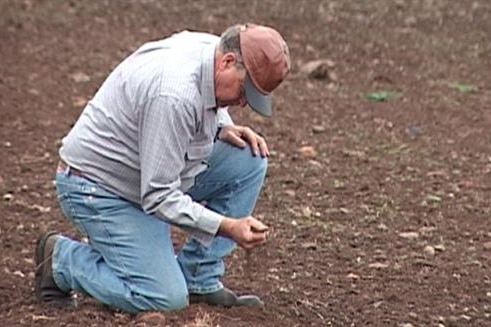 Sid Plant inspects the soil on his Darling Downs farm