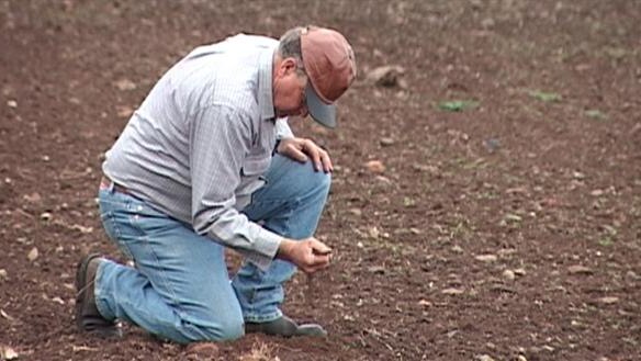 Sid Plant inspects the soil on his Darling Downs farm