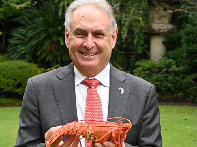 Wide portrait of Trade and Tourism Minister Don Farrell holding a cooked lobster