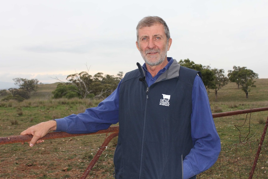 a man with grey hair and a blue vest leans on a rusty gate, behind him are stout trees and patchy green grass.