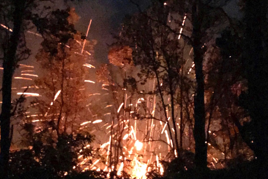 Sparks fly as lava makes it's way through forest