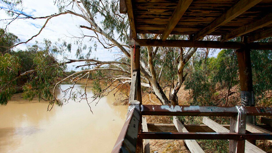 The Darling River from under a wharf and a tree in the distance.