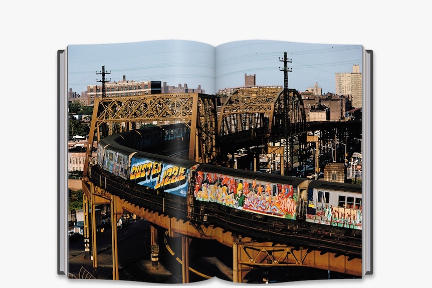 A colourful graffitied subway car travels above ground on track through grungy city scape.