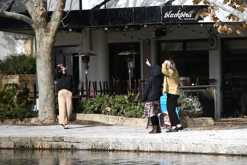 Three women look up and point at a tree, while a pathway is covered in excrement. There is an empty pub in the background.