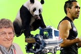 A collage of Ernie Sigley, a giant panda, Eddie Betts and a boat.