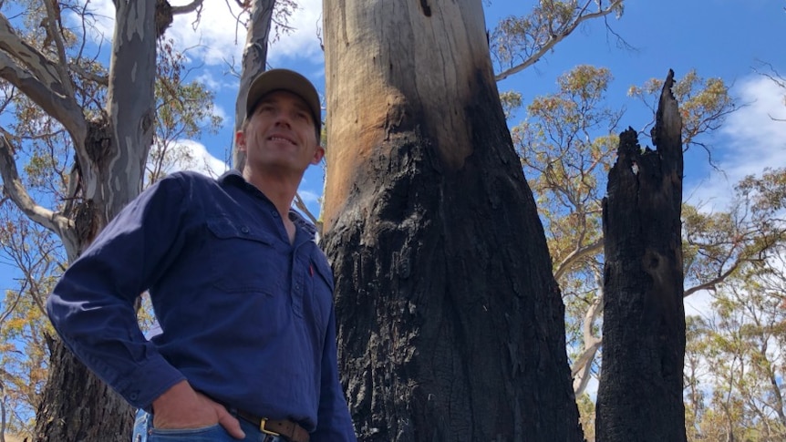 Tasmanian farmer Richard Hallett stands next to a blackened tree where lightning struck and started a fire on his property