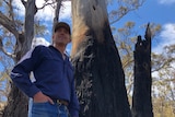 Tasmanian farmer Richard Hallett stands next to a blackened tree where lightning struck and started a fire on his property