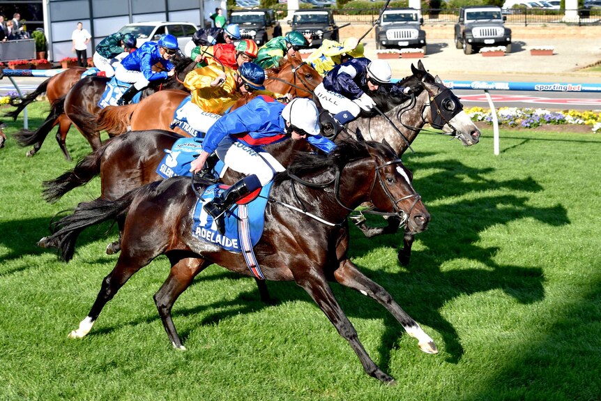 Adelaide storms home for Cox Plate win
