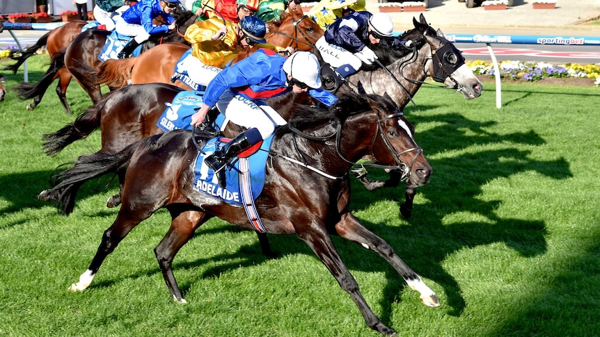 Ryan Moore and Adelaide storm home to win the WS Cox Plate at Moonee Valley.