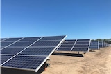 Rows of solar panels with sunny sky