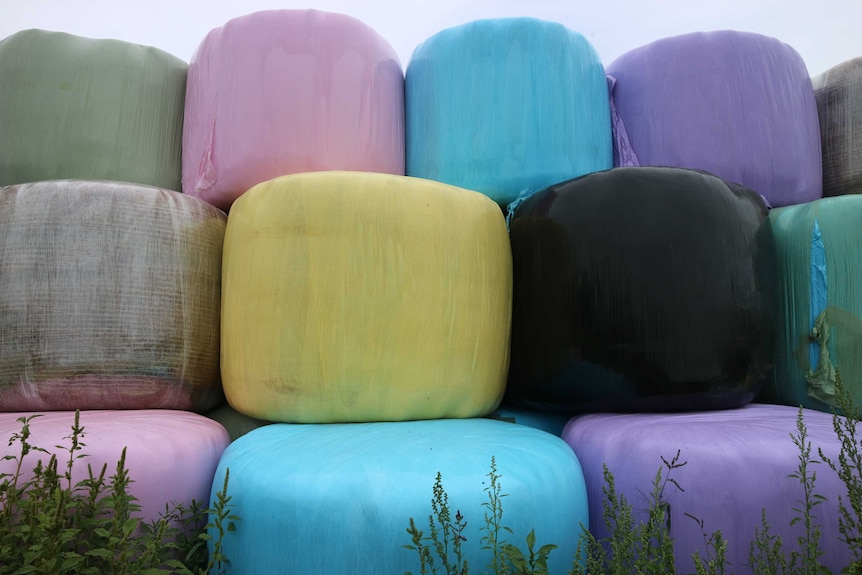 Close up of hay bales wrapped in colourful silage.