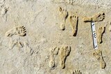Fossilized footprints