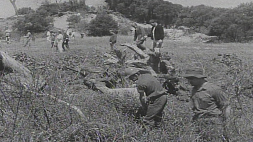 A line of people search an area of long grass.