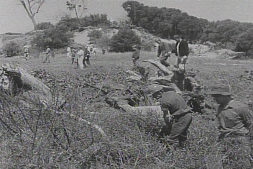 A line of people search an area of long grass.