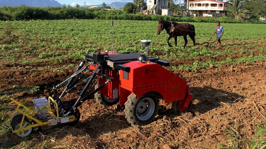 Fijian farmer with horse and plough works alongside farming robot in field