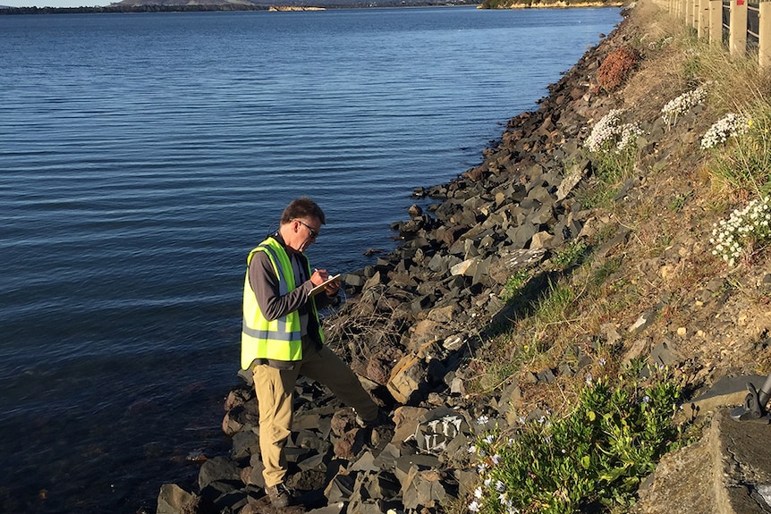 A man with a clipboard makes notes on a shoreline. He is wearing a high-viz vest