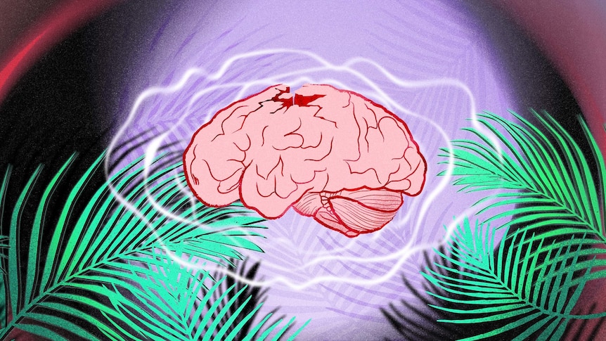 A sketch of a human brain with a crack in it and white lines representing vibration a purple background and green palm leaves