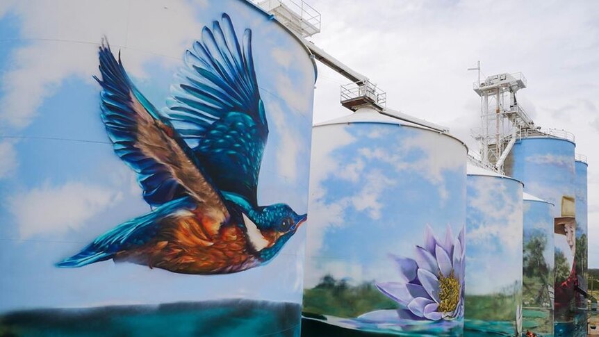 A painted kingfisher on a large grain silo