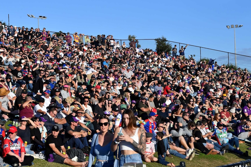 A hill packed with fans at the NRL game between the Melbourne Storm and Newcastle Knights at Sunshine Coast Stadium.